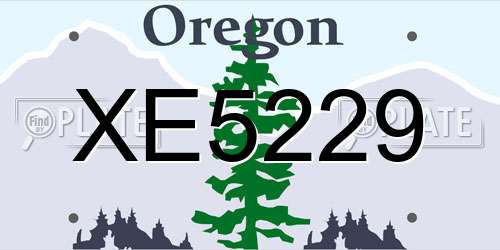 XE5229 Oregon License Plate