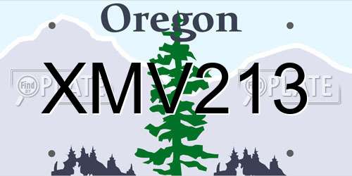 XMV213 Oregon License Plate