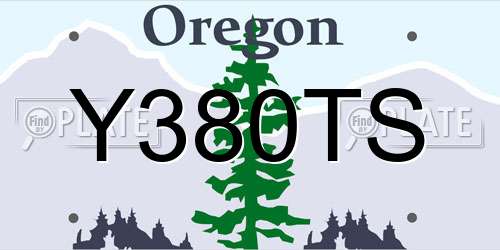 Y380TS Oregon License Plate