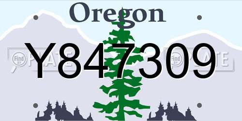 Y847309 Oregon License Plate