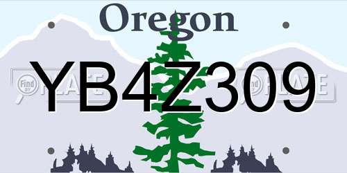 YB4Z309 Oregon License Plate