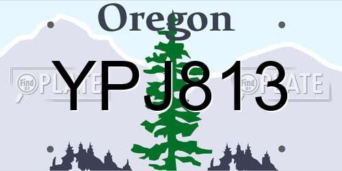 YPJ813 Oregon License Plate