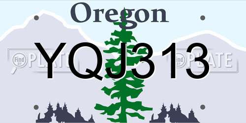 YQJ313 Oregon License Plate