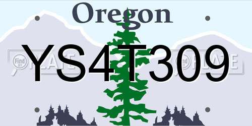 YS4T309 Oregon License Plate