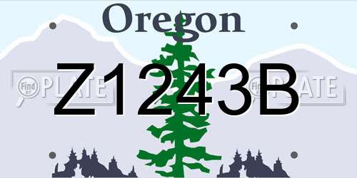 Z1243B Oregon License Plate