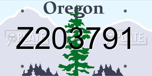 Z203791 Oregon License Plate