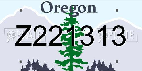 Z221313 Oregon License Plate