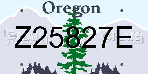Z25827E Oregon License Plate