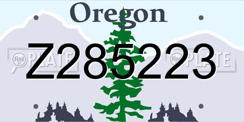 Z285223 Oregon License Plate