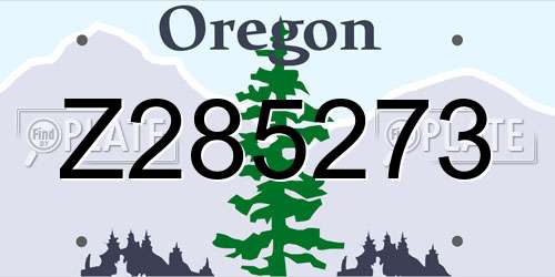 Z285273 Oregon License Plate