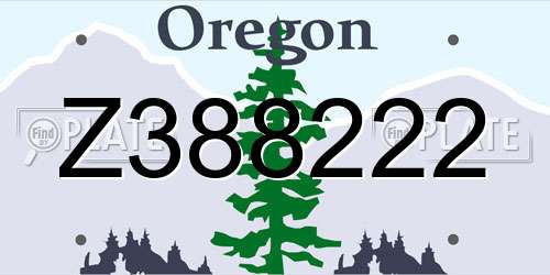 Z388222 Oregon License Plate