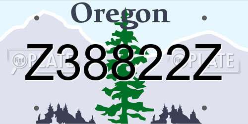 Z38822Z Oregon License Plate