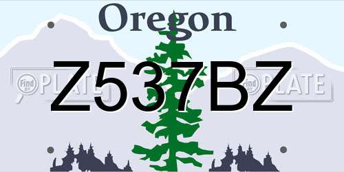 Z537BZ Oregon License Plate