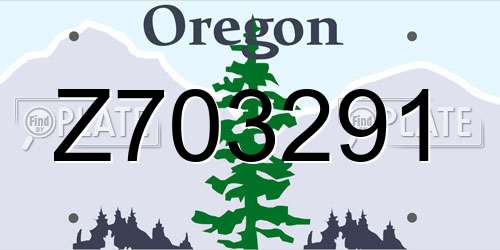 Z703291 Oregon License Plate