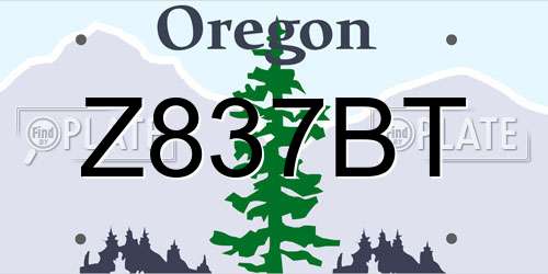 Z837BT Oregon License Plate