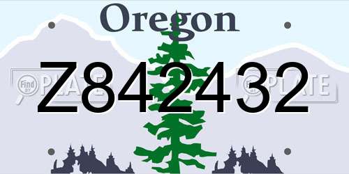 Z842432 Oregon License Plate