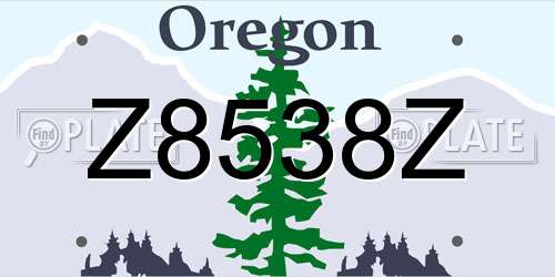 Z8538Z Oregon License Plate