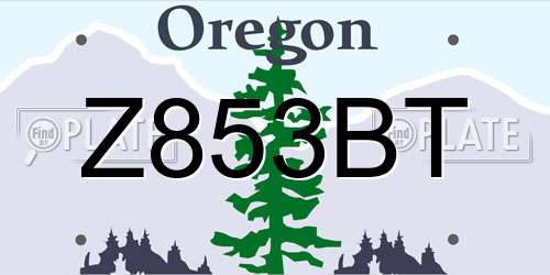 Z853BT Oregon License Plate