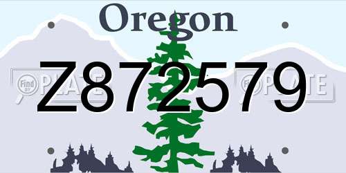 Z872579 Oregon License Plate