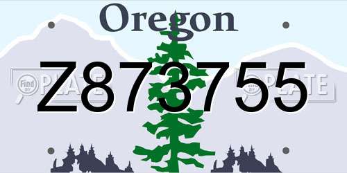 Z873755 Oregon License Plate