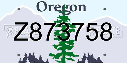 Z873758 Oregon License Plate