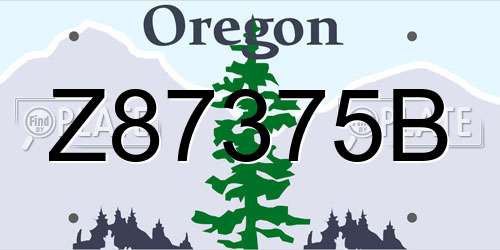 Z87375B Oregon License Plate