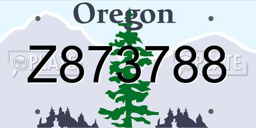 Z873788 Oregon License Plate