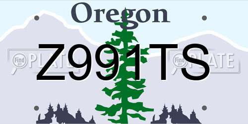 Z991TS Oregon License Plate