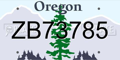 ZB73785 Oregon License Plate