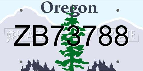 ZB73788 Oregon License Plate
