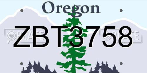 ZBT3758 Oregon License Plate