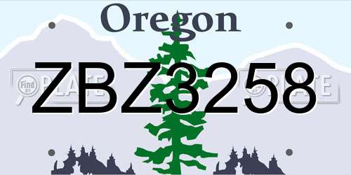 ZBZ3258 Oregon License Plate