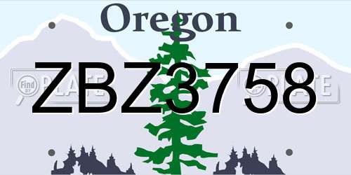ZBZ3758 Oregon License Plate