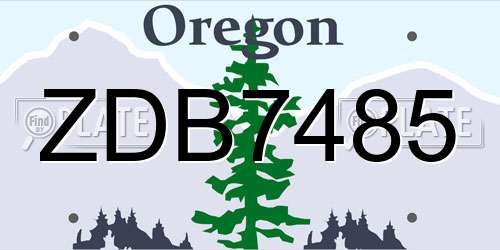 ZDB7485 Oregon License Plate
