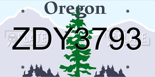 ZDY3793 Oregon License Plate