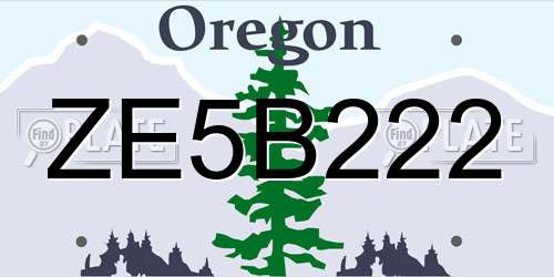 ZE5B222 Oregon License Plate