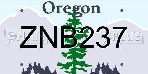 ZNB237 Oregon License Plate