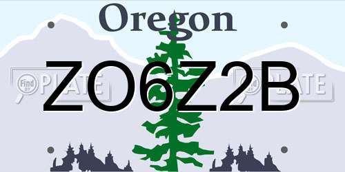 ZO6Z2B Oregon License Plate