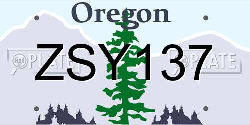 ZSY137 Oregon License Plate