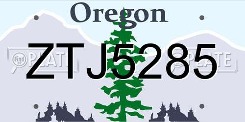 ZTJ5285 Oregon License Plate