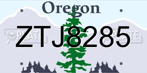 ZTJ8285 Oregon License Plate