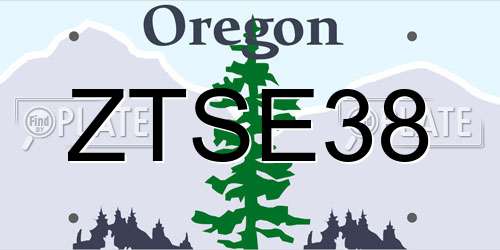 ZTSE38 Oregon License Plate