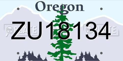 ZU18134 Oregon License Plate