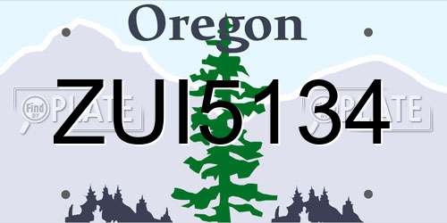 ZUI5134 Oregon License Plate