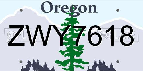 ZWY7618 Oregon License Plate