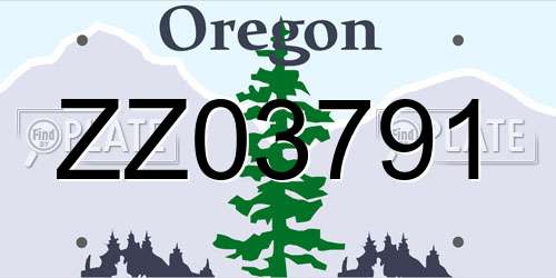 ZZ03791 Oregon License Plate
