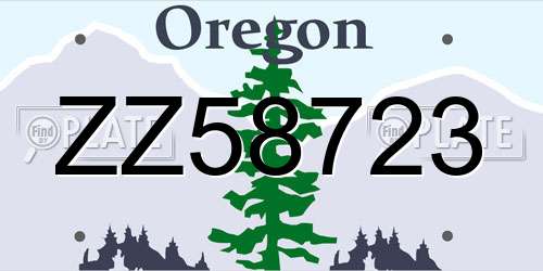 ZZ58723 Oregon License Plate