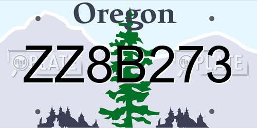 ZZ8B273 Oregon License Plate