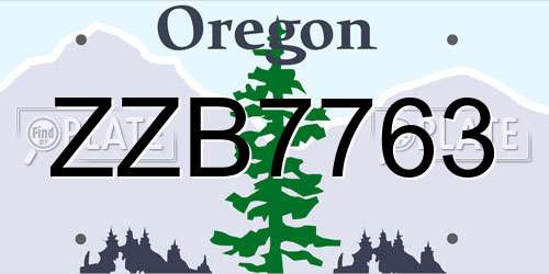 ZZB7763 Oregon License Plate