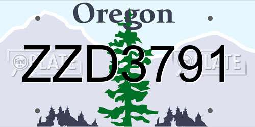 ZZD3791 Oregon License Plate